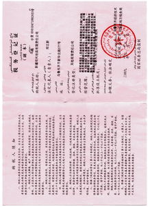 新疆雙興拍賣有限責任公司 日用雜品領域的創新與價值