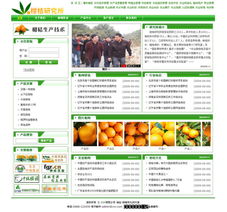 零成本建站新選擇 卓天網絡賦能普通用戶實現網站夢想